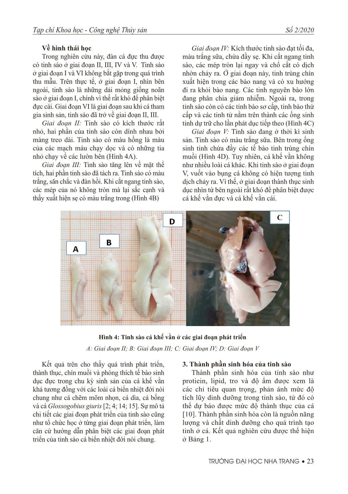 Nghiên cứu đặc điểm sinh học tinh sào cá khế vằn (Gnathanodon speciosus) trang 5