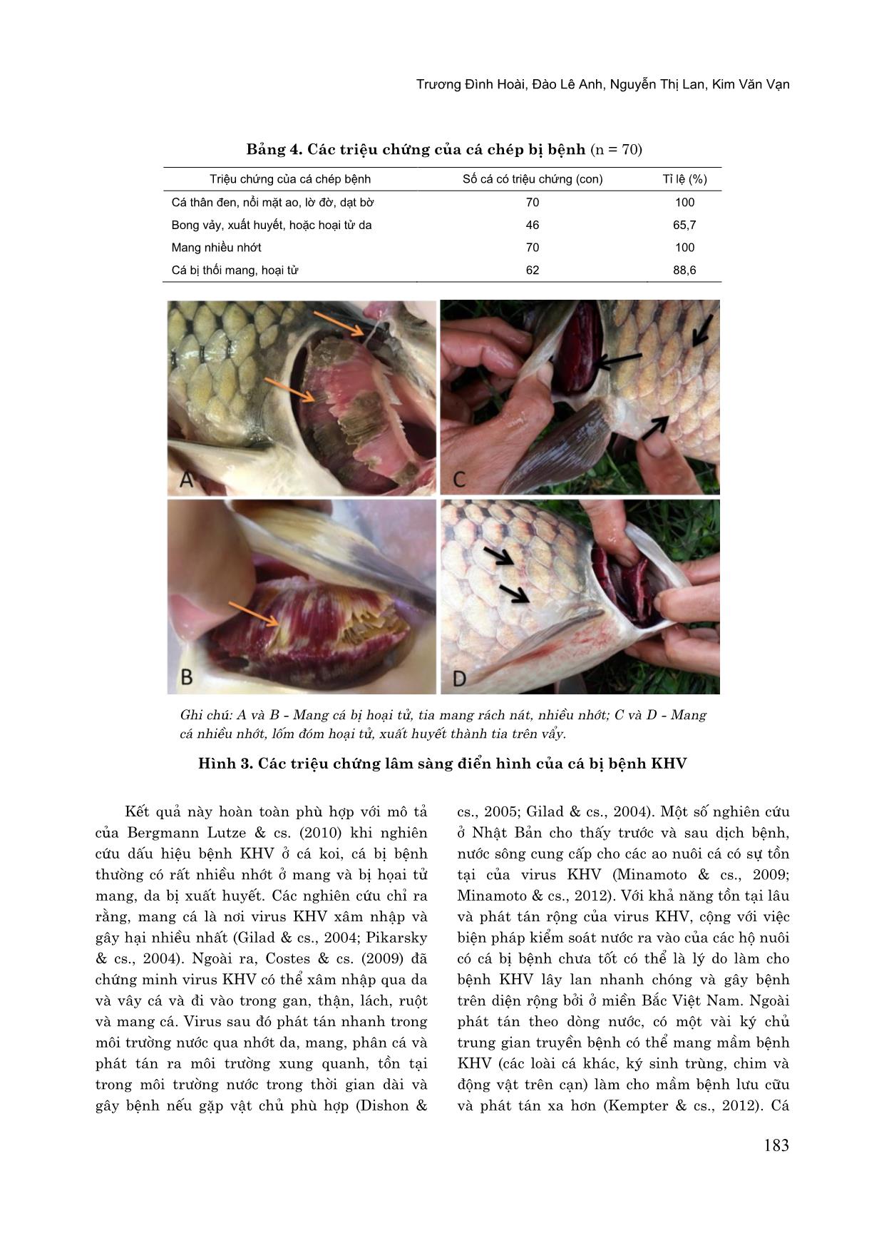 Một số đặc điểm dịch tễ, bệnh lý và chẩn đoán bệnh koi herpes virus (KHV) trên cá chép nuôi tại miền Bắc Việt Nam trang 6