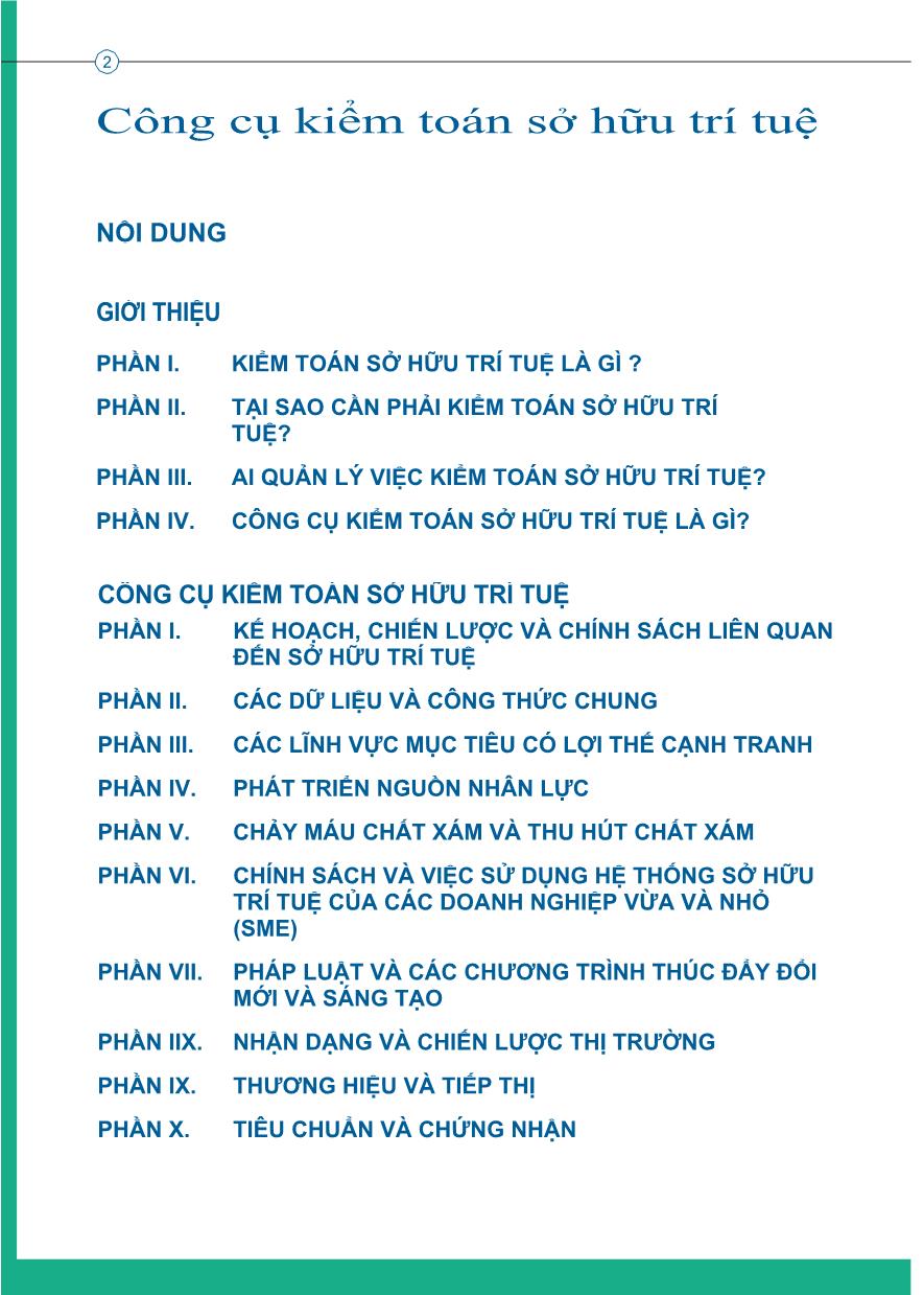 Giáo trình Công cụ kiểm toán sở hữu trí tuệ trang 4