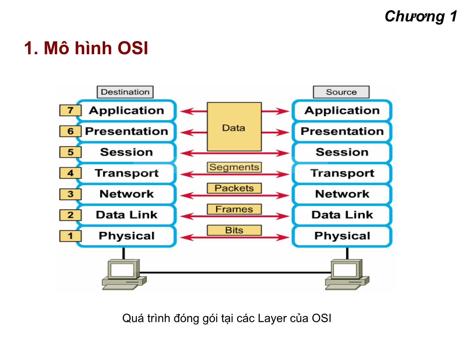 Bài giảng Lập trình mạng - Chương 1: Tổng quan về lập trình mạng trang 8