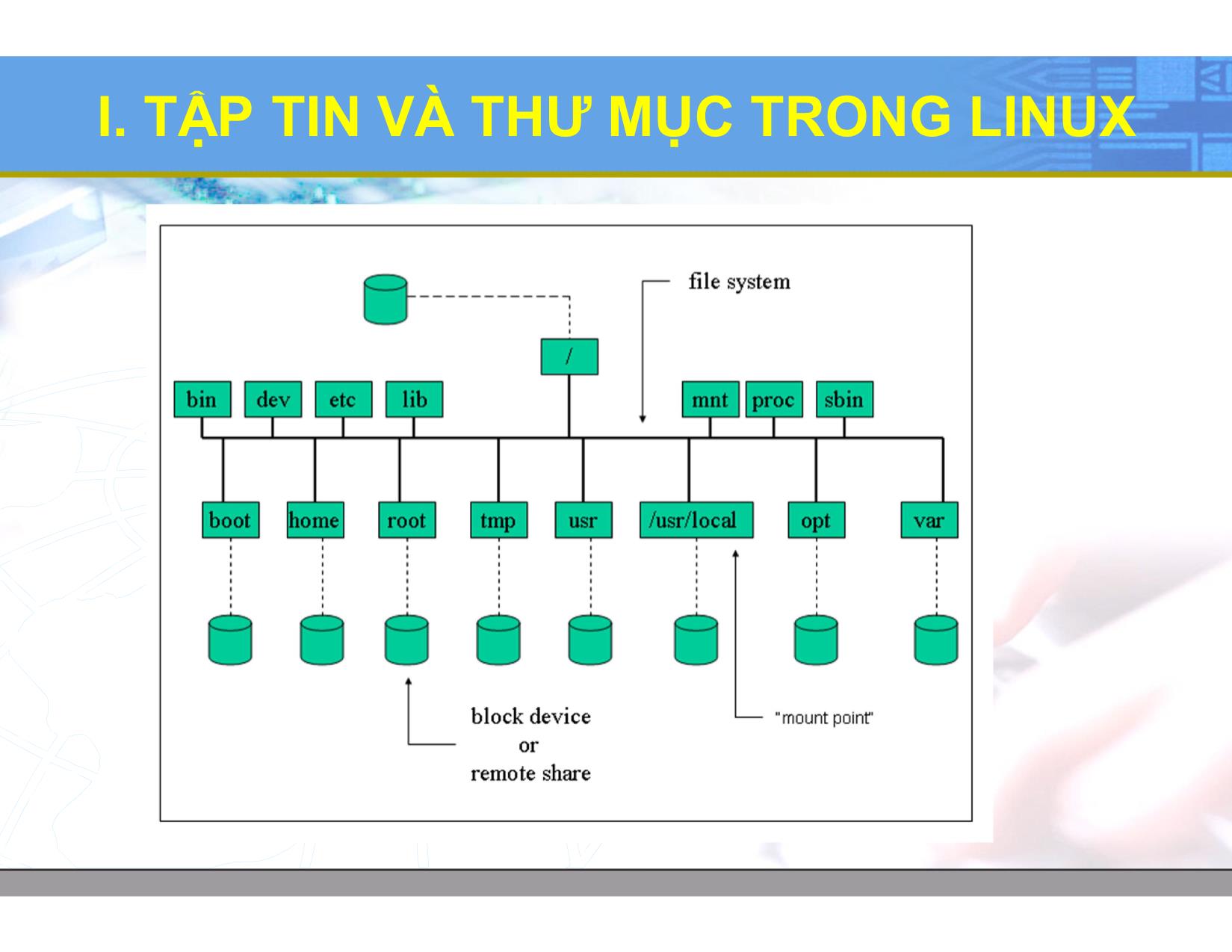 Bài giảng Hệ điều hành Linux - Chương 2: Lệnh và tiện ích trên Linux - Lương Minh Huấn trang 6