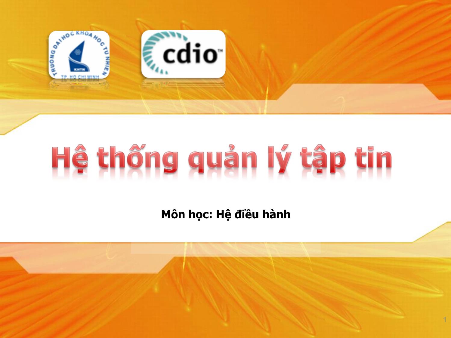 Bài giảng Hệ thống quản lý tập tin trang 1