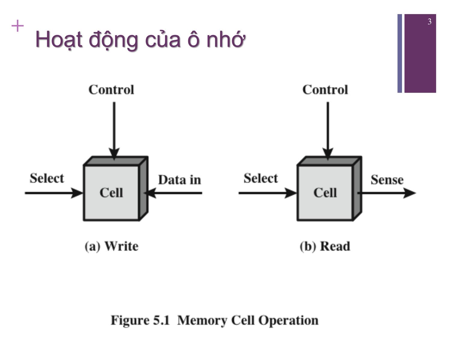 Bài giảng Kiến trúc máy tính - Chương 5: Bộ nhớ trong - Nguyễn Hằng Phương trang 3