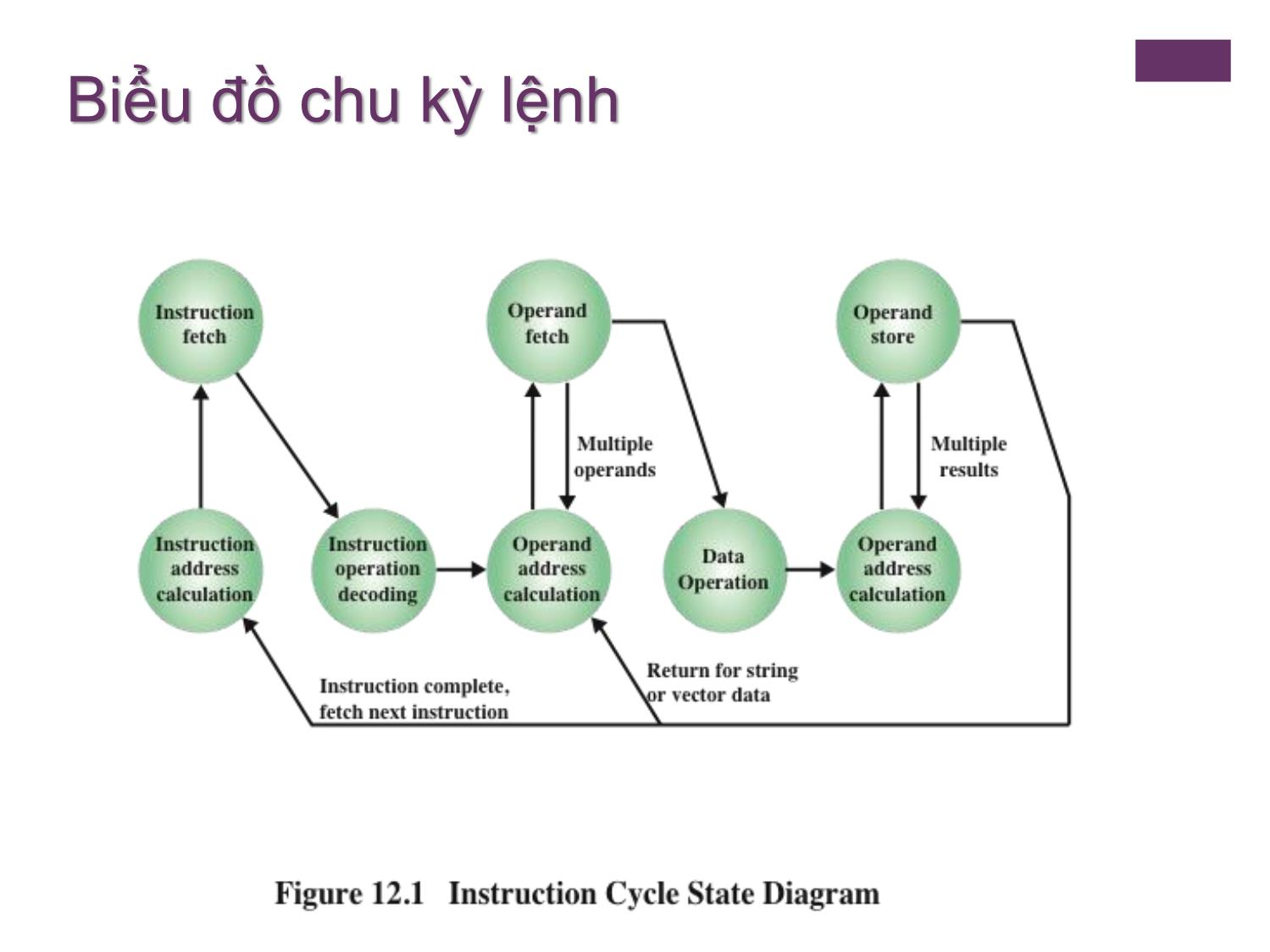 Bài giảng Kiến trúc máy tính - Chương 1: Tập lệnh. Đặc điểm và chức năng - Nguyễn Thị Phương trang 5