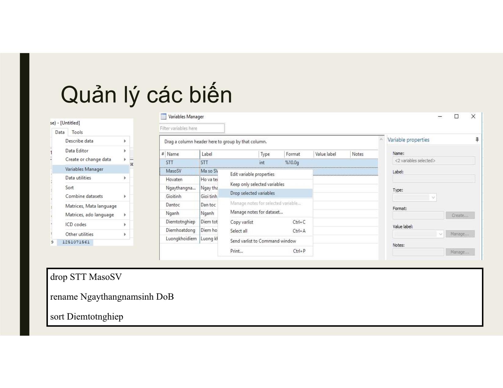 Bài giảng Sử dụng stata cơ bản trang 7