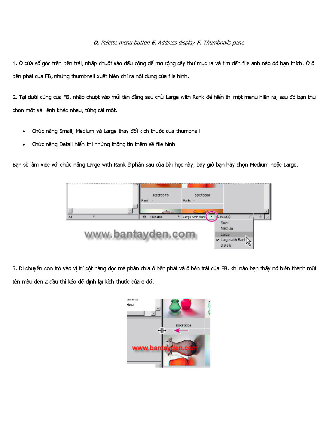 Bài giảng Photoshop - Chương 2: File Browser - Những tính năng còn chưa được biết đến trang 3