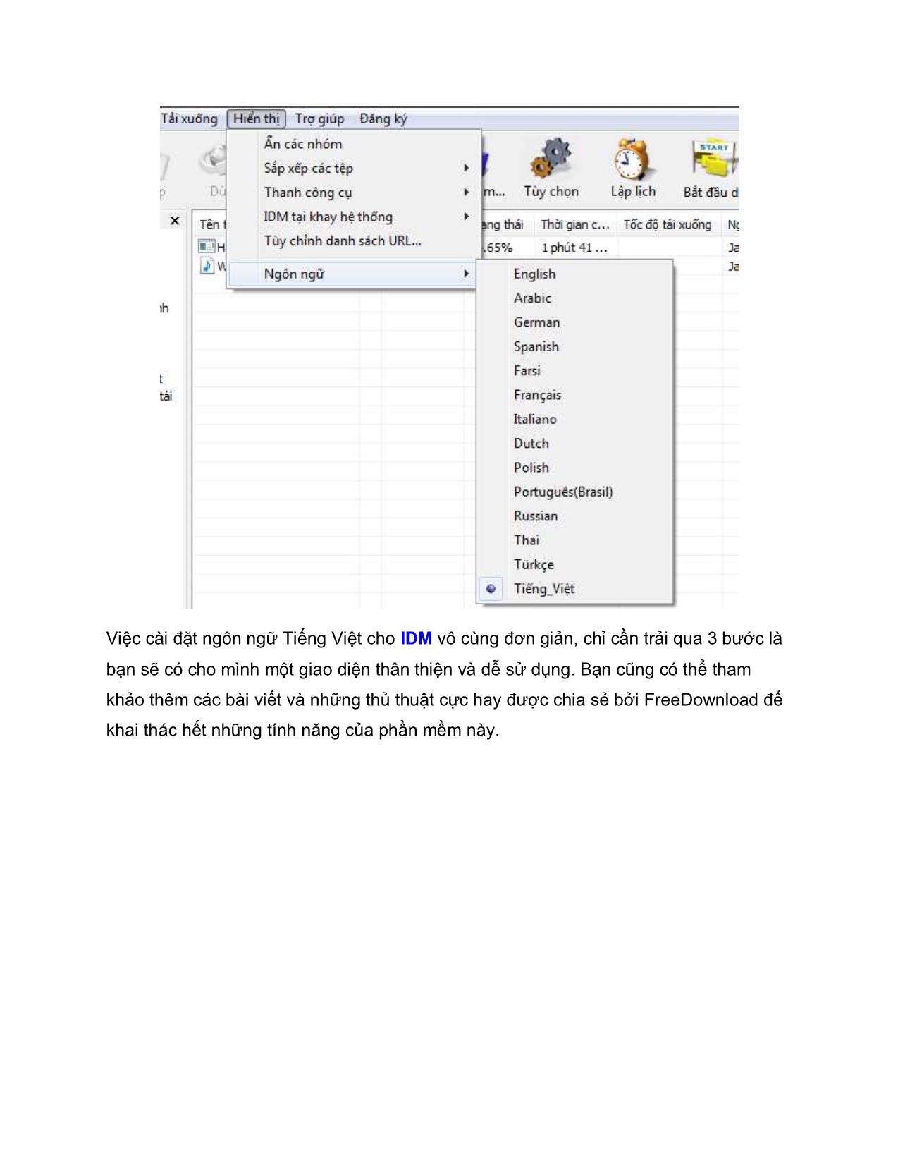 Tài liệu Cài ngôn ngữ tiếng Việt cho IDM trang 3