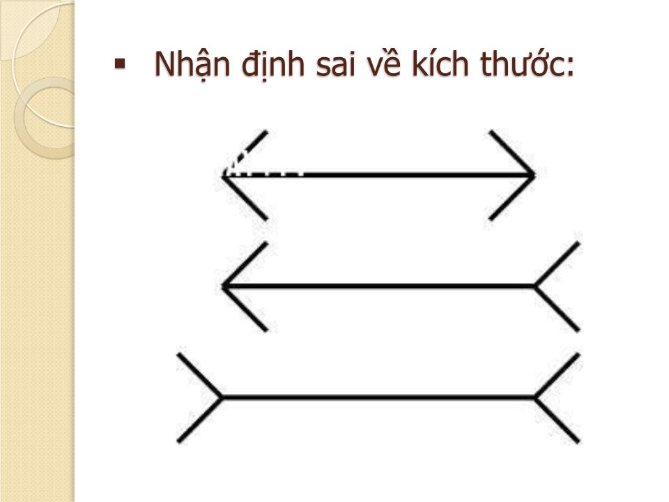 Bài giảng Nguyên lý thị giác - Chương 1: Tổng quan - Trần Nguyễn Duy Trung trang 10