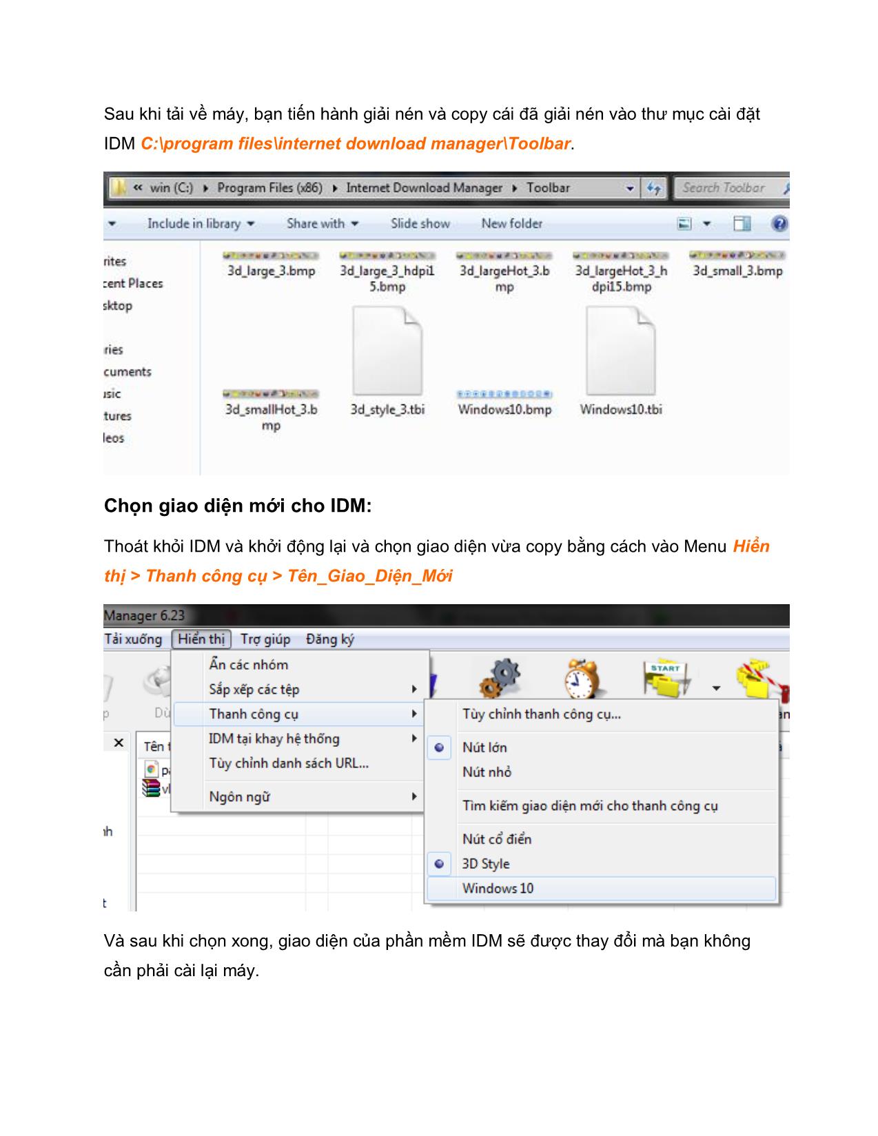 Tài liệu Thay đổi giao diện phần mềm Download IDM trang 3