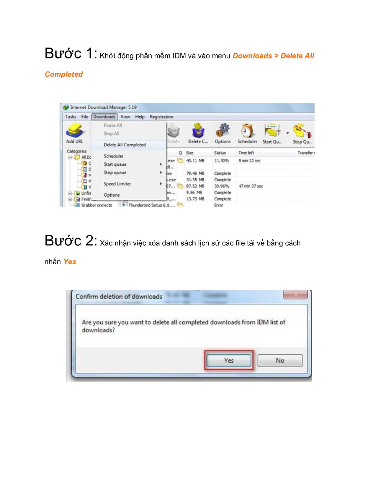 Tài liệu Xóa danh sách file tải và tắt thông báo cập nhật của phần mềm IDM trang 2