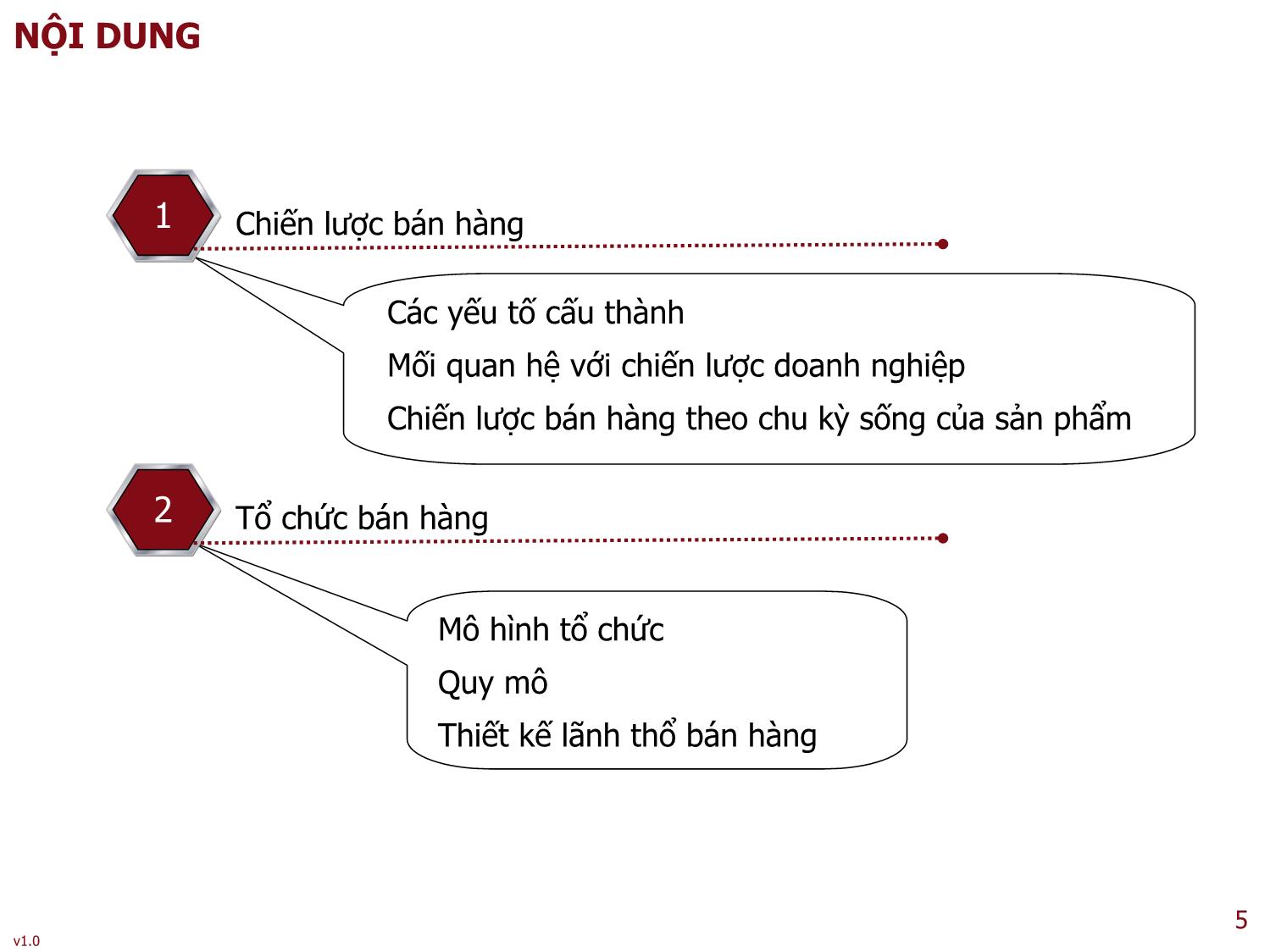 Bài giảng Quản trị bán hàng - Bài 2: Quản trị bán hàng chiến lược và cơ cấu tổ chức trong doanh nghiệp - Nguyễn Thu Lan trang 5