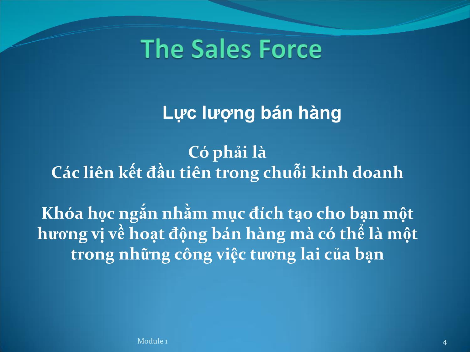 Bài giảng Quản lý nguồn lực bán hàng Đoàn đại biểu Việt Nam trang 4