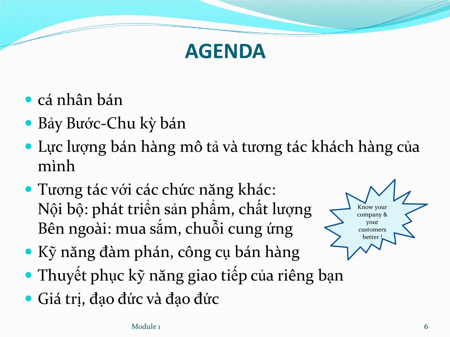 Bài giảng Quản lý nguồn lực bán hàng Đoàn đại biểu Việt Nam trang 6