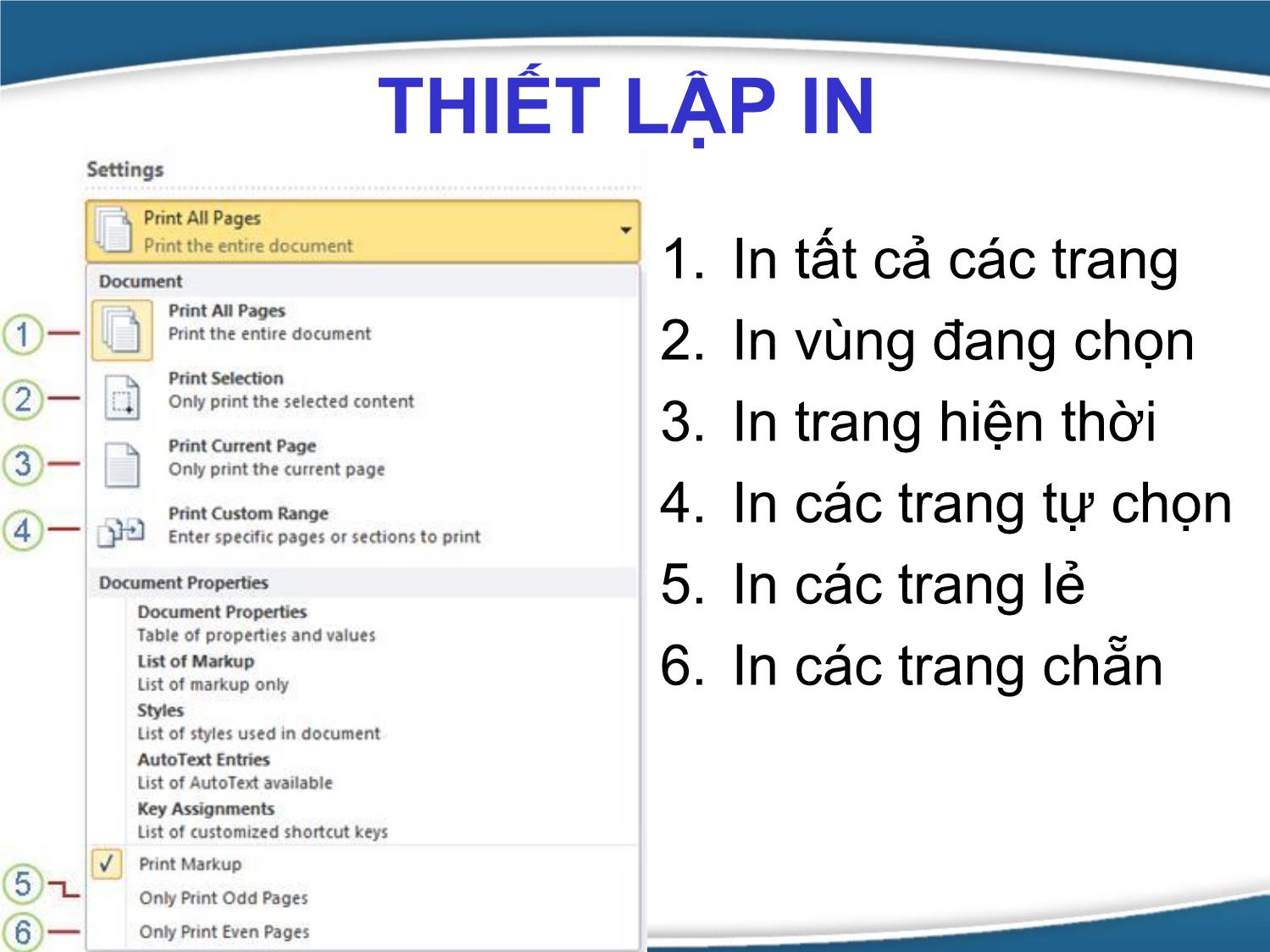 Bài giảng Tin học văn phòng - Bài 5: In ấn và trộn tài liệu - Nguyễn Thị Phương Thảo trang 9