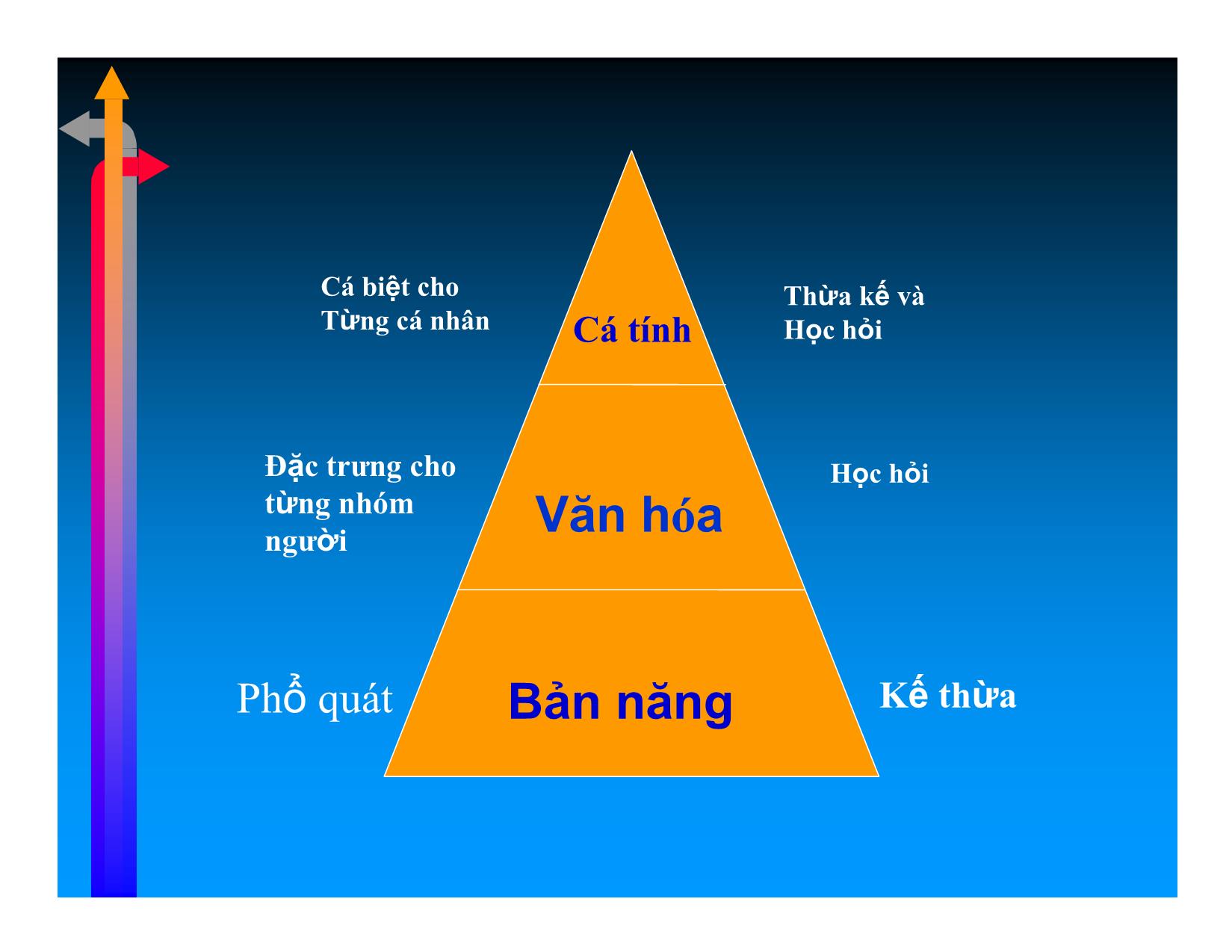 Bài giảng Giao tiếp liên văn hóa trong đàm phán quốc tế - Đỗ Thanh Hải trang 3