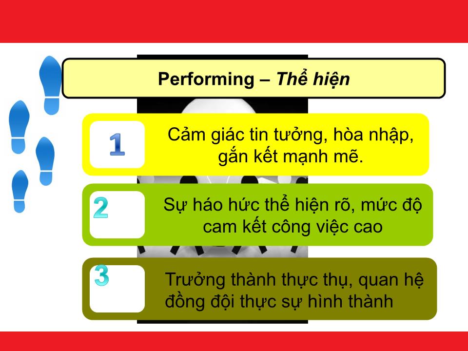 Bài giảng Kỹ năng làm việc nhóm - Chương 5: Nhóm trang 10