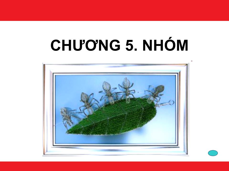 Bài giảng Kỹ năng làm việc nhóm - Chương 5: Nhóm trang 1