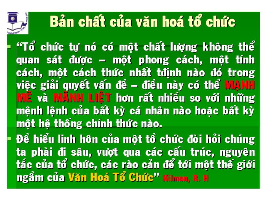 Bài giảng Văn hóa tổ chức - Nguyễn Hữu Lam trang 9