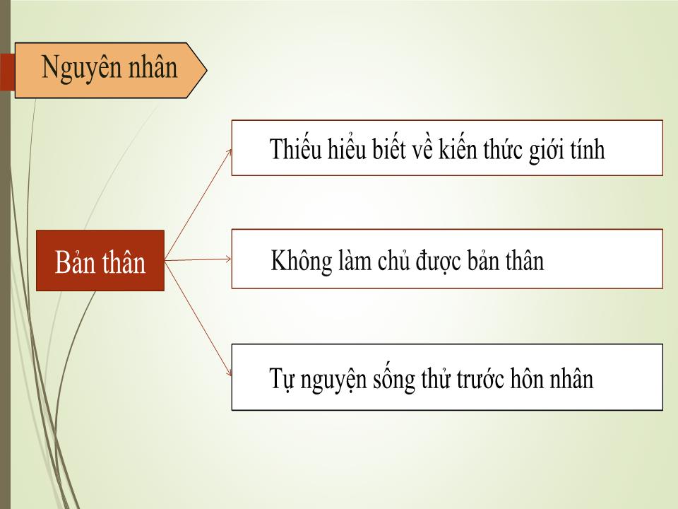 Bài giảng Vấn đề phá thai ở giới trẻ hiện nay trang 4