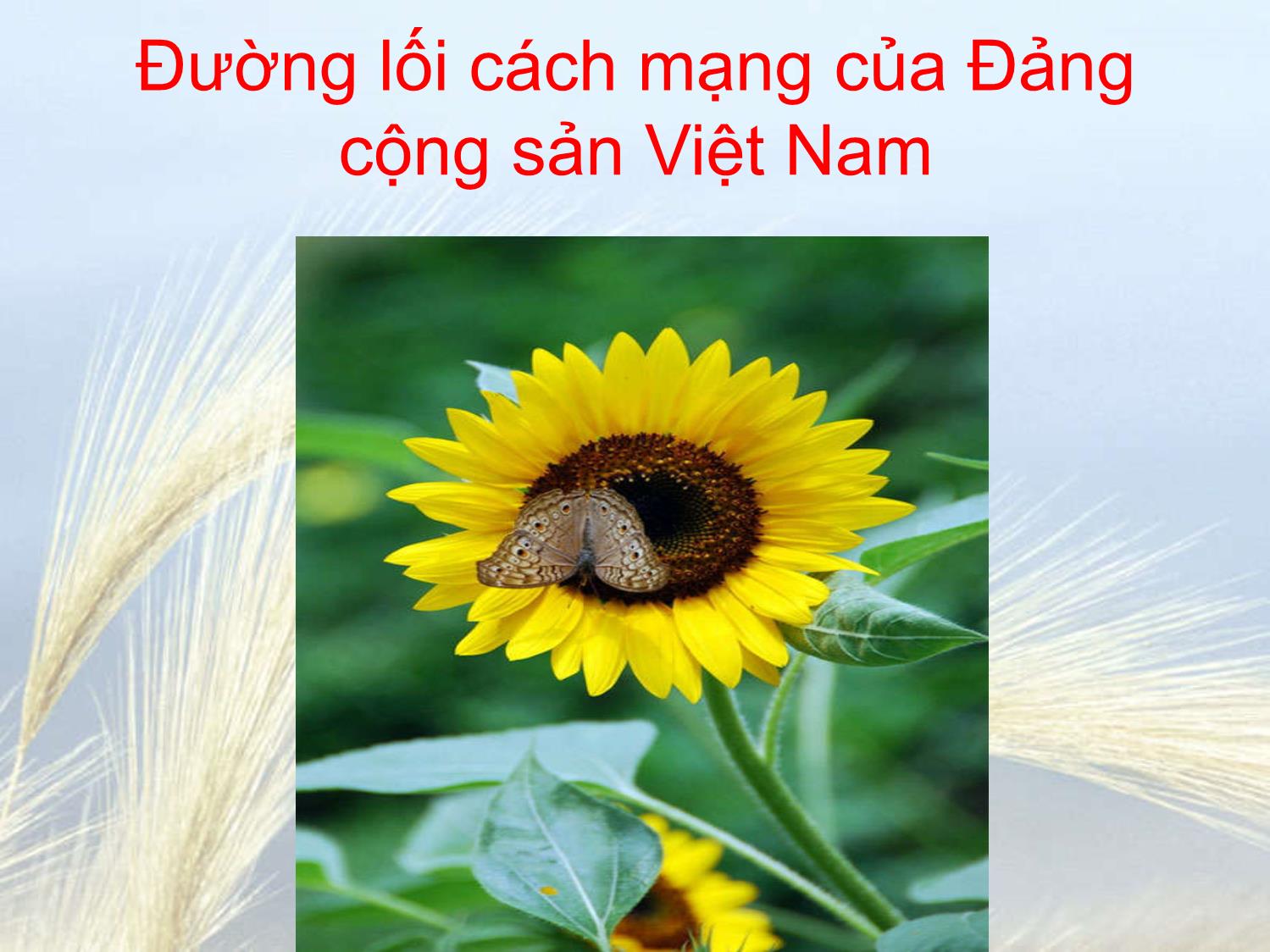 Bài giảng Đường lối cách mạng của Đảng Cộng sản Việt Nam - Chương 1: Sự ra đời của Đảng Cộng sản Việt Nam và cương lĩnh chính trị đầu tiên trang 1