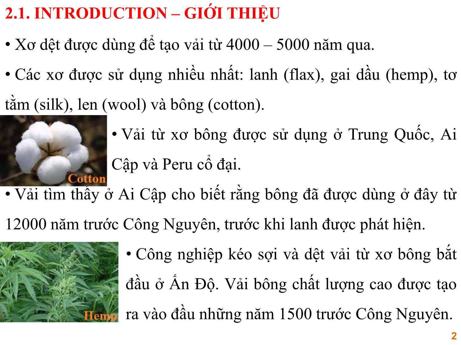 Bài giảng Vật liệu dệt - Phần 2: Xơ tự nhiên trang 2