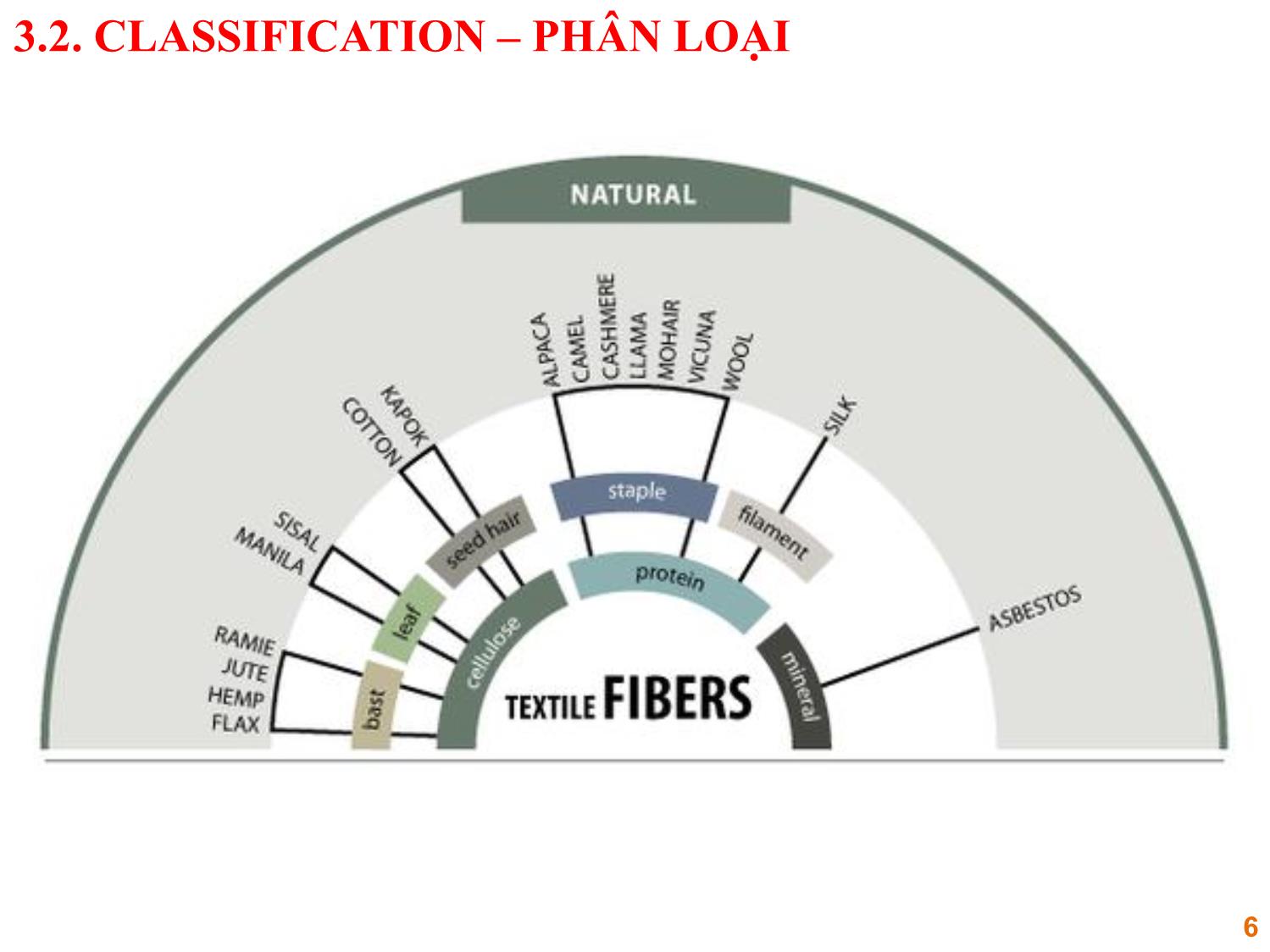 Bài giảng Vật liệu dệt - Phần 2: Xơ tự nhiên trang 6