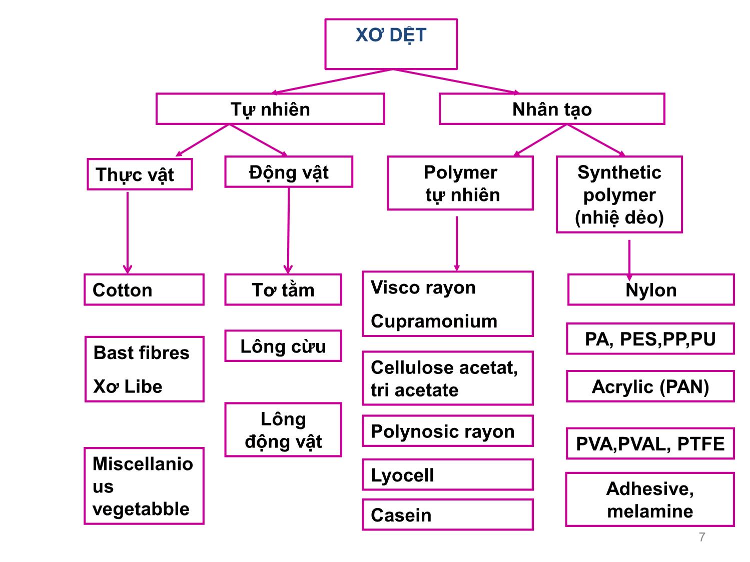 Bài giảng Vật liệu dệt - Phần 2: Xơ tự nhiên trang 7