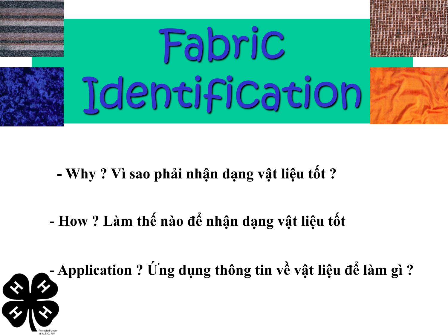 Bài giảng Vật liệu dệt - Phần 5: Nhận diện xơ, vải phục vụ cho thời trang trang 2