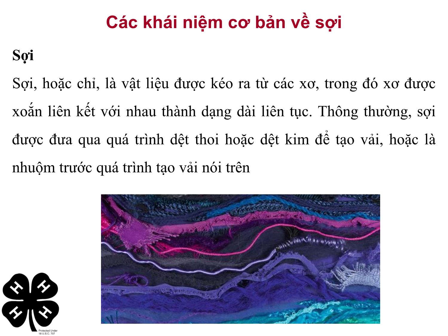 Bài giảng Vật liệu dệt - Phần 5: Nhận diện xơ, vải phục vụ cho thời trang trang 4