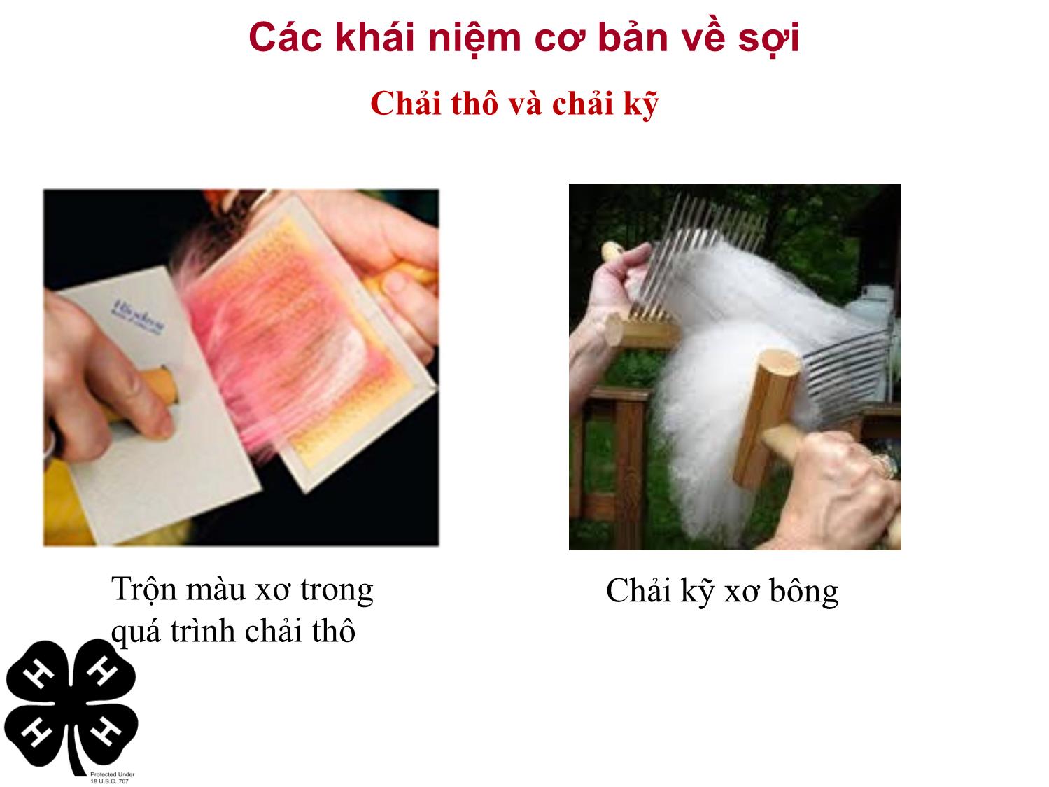 Bài giảng Vật liệu dệt - Phần 5: Nhận diện xơ, vải phục vụ cho thời trang trang 6