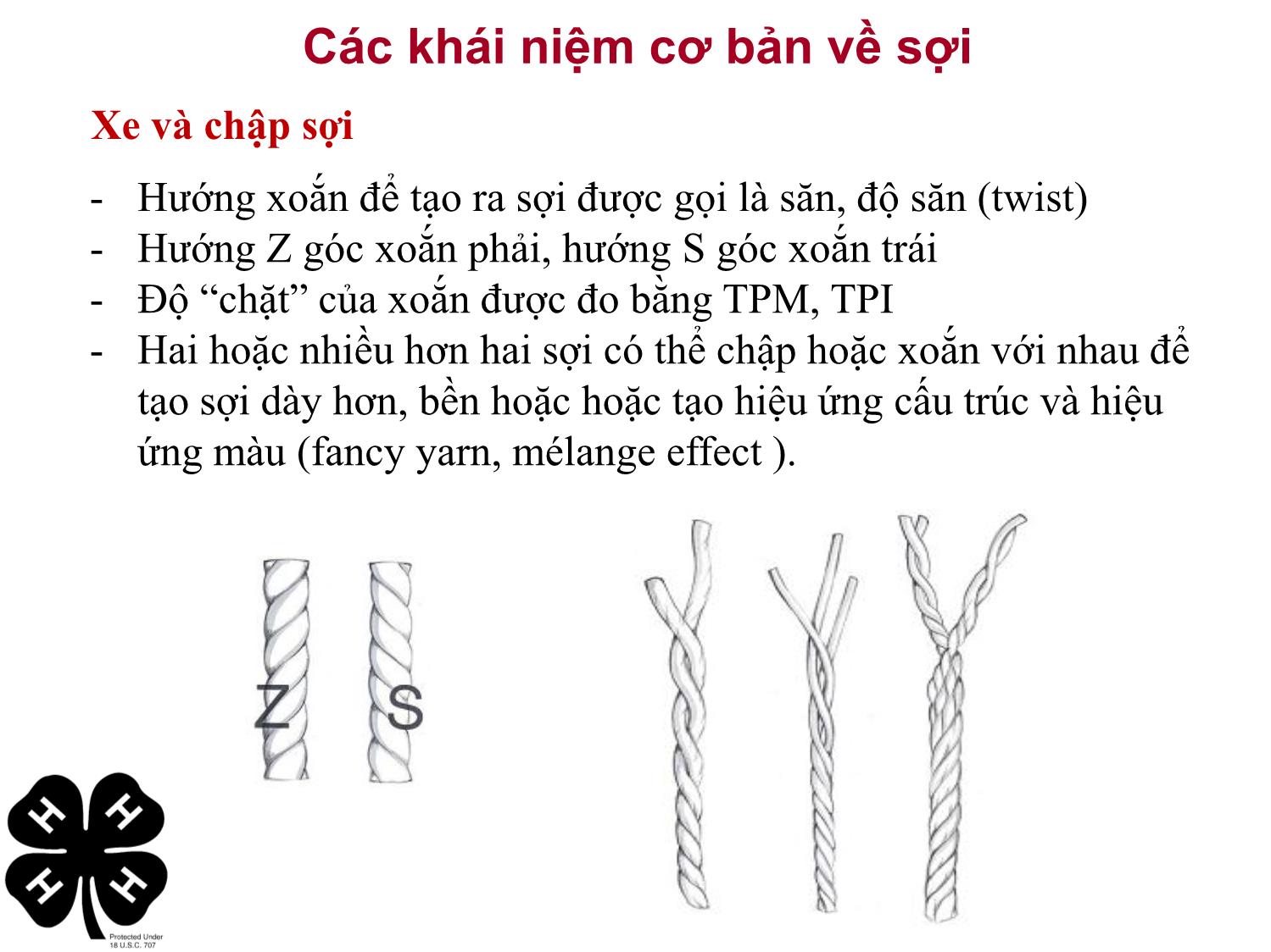 Bài giảng Vật liệu dệt - Phần 5: Nhận diện xơ, vải phục vụ cho thời trang trang 9