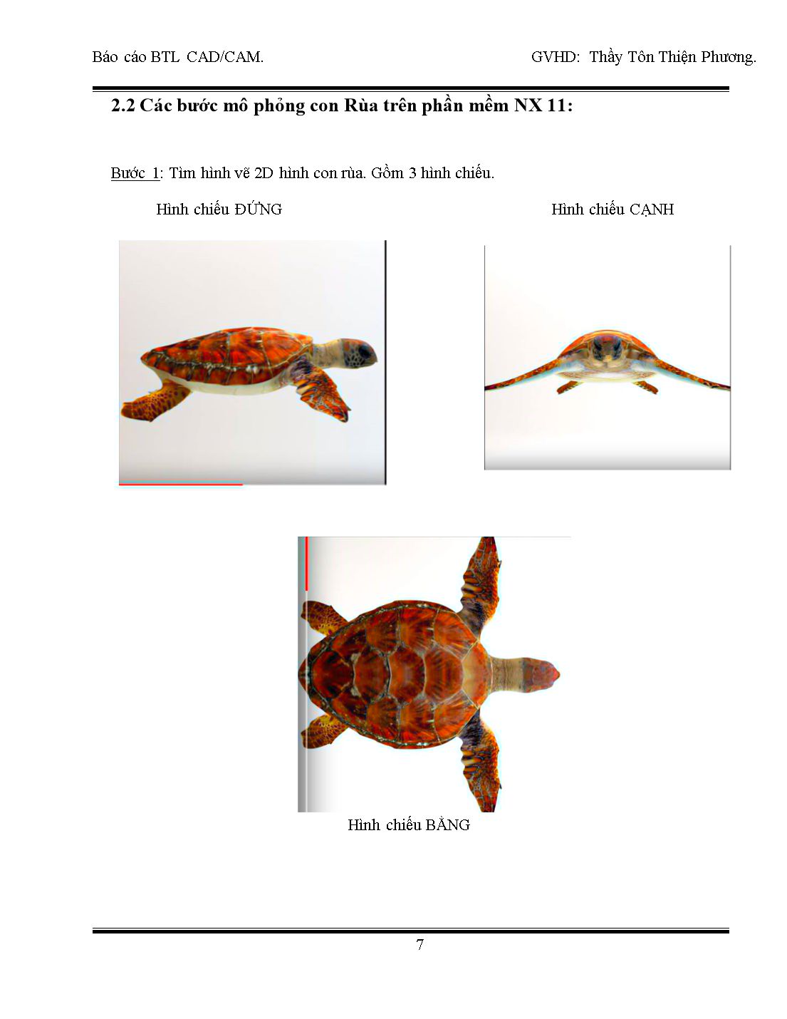 Báo cáo bài tập lớn CAD/CAM - Đề bài: Gia công Con Rùa 3D trên NX 11 trang 7
