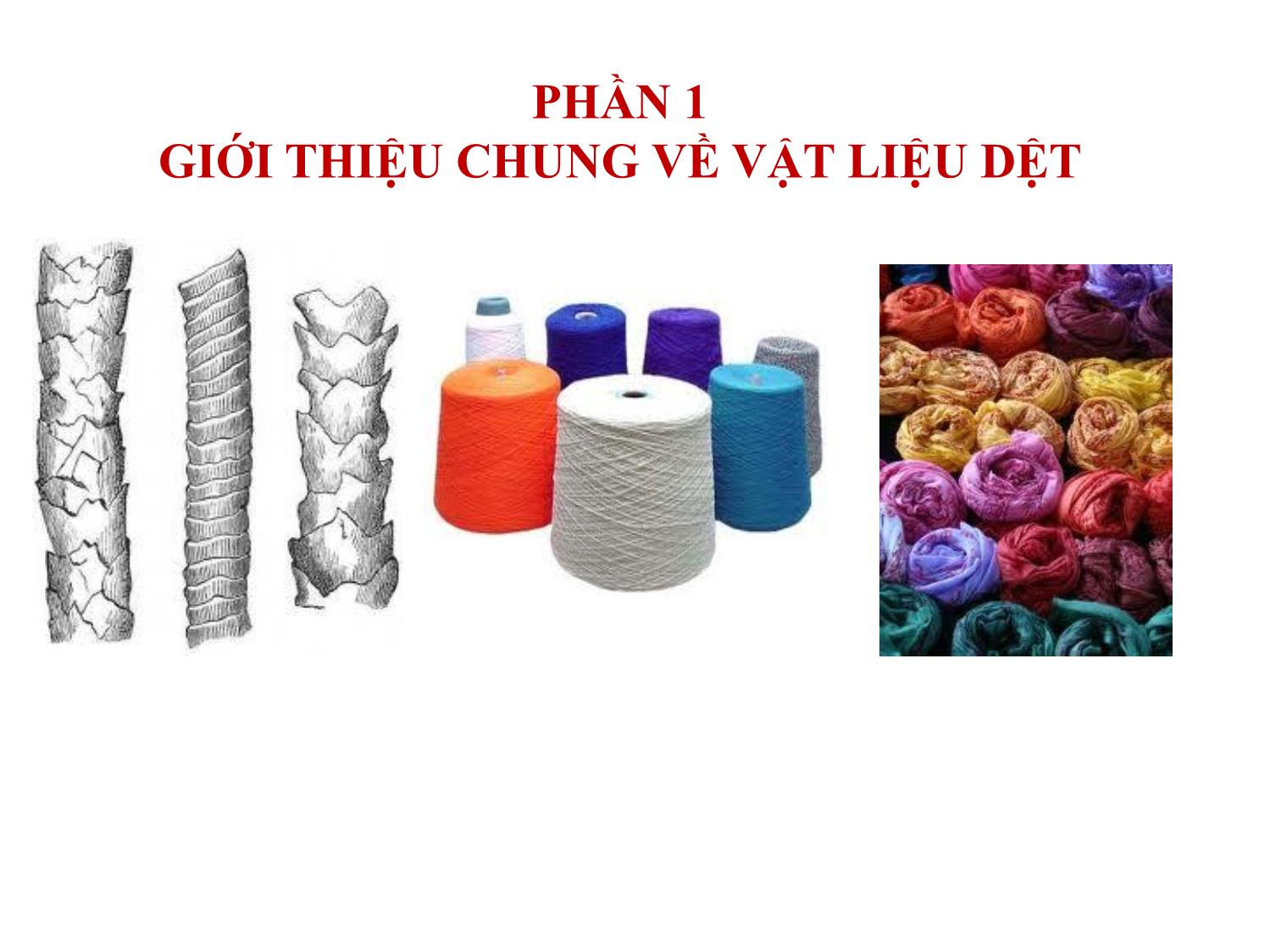 Bài giảng Vật liệu dệt - Phần 1: Giới thiệu chung về vật liệu dệt trang 2