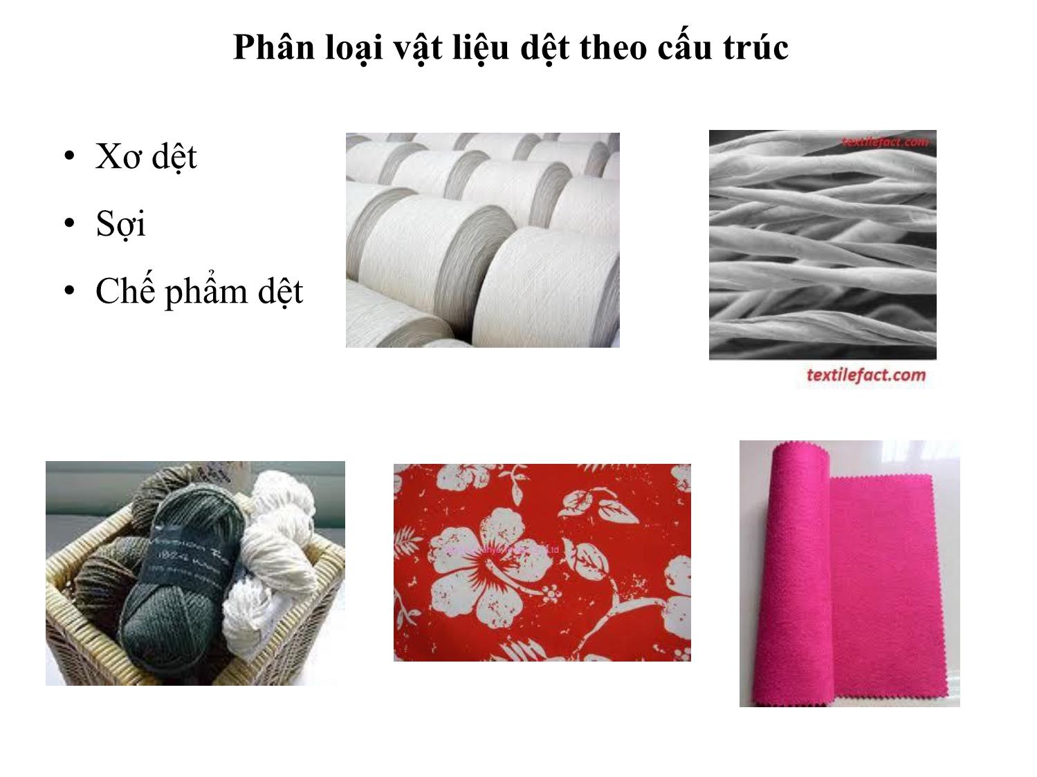 Bài giảng Vật liệu dệt - Phần 1: Giới thiệu chung về vật liệu dệt trang 3