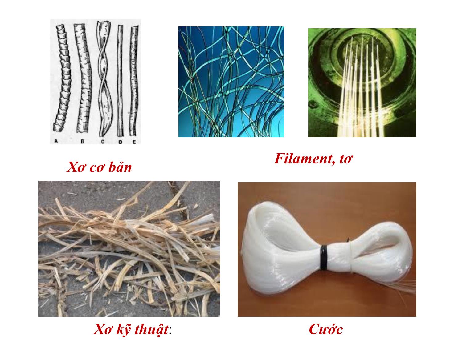 Bài giảng Vật liệu dệt - Phần 1: Giới thiệu chung về vật liệu dệt trang 5