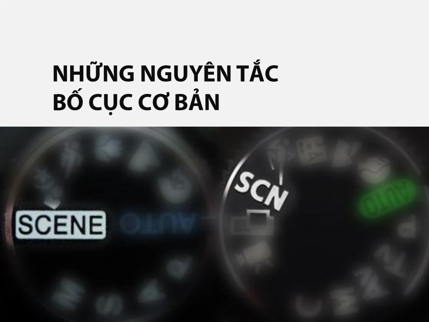 Bài giảng Bố cục trong nhiếp ảnh - Nguyễn Đình Nam trang 4