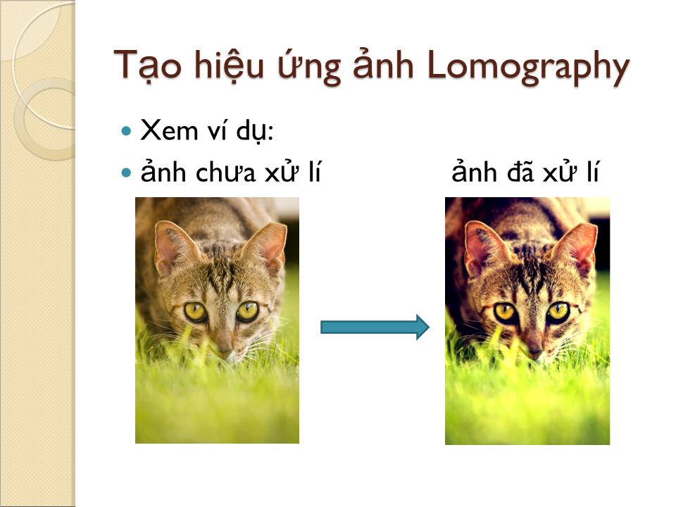 Bài giảng Các hiệu ứng thông dụng trên ảnh màu - Dương Trọng Đính trang 3