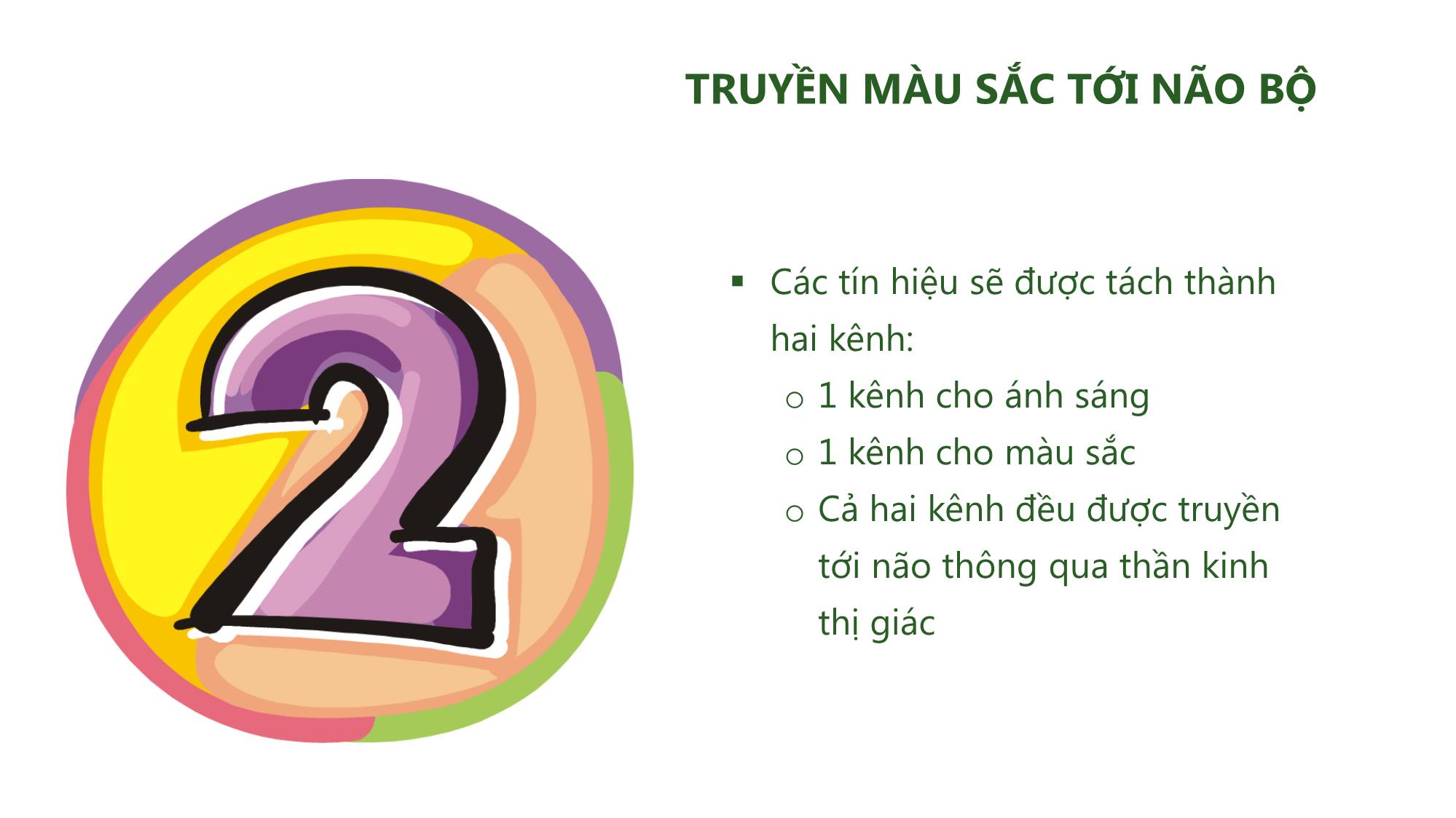 Bài giảng Nhiếp ảnh và xử lý hình ảnh - Bài 1: Làm quen với nhiếp ảnh trang 9