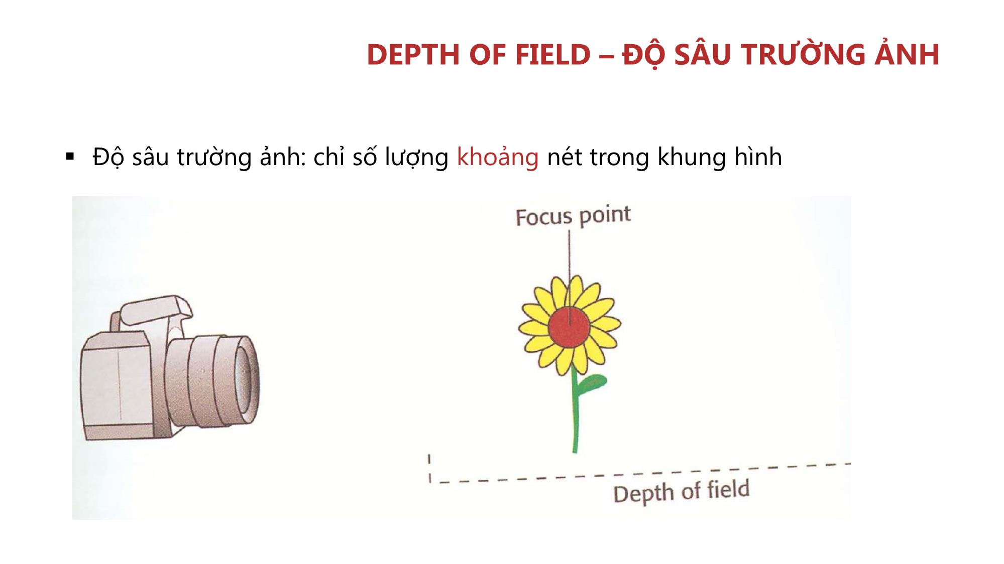 Bài giảng Nhiếp ảnh và xử lý hình ảnh - Bài 2: Phơi sáng và các chế độ chụp trang 10