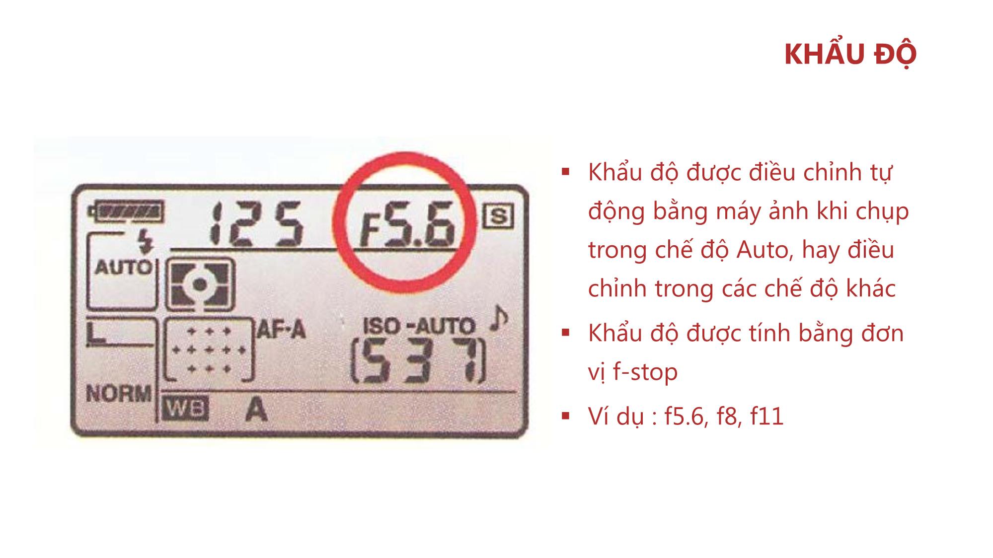 Bài giảng Nhiếp ảnh và xử lý hình ảnh - Bài 2: Phơi sáng và các chế độ chụp trang 8