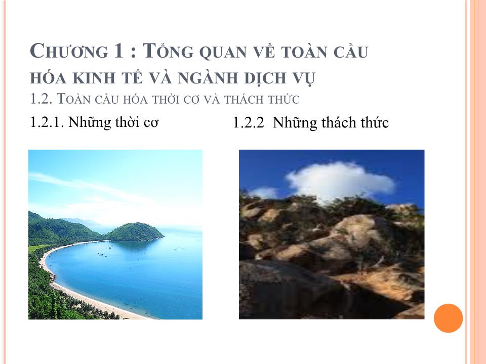 Bài giảng Toàn cầu hóa và tác động tới ngành dịch vụ Việt Nam trang 10