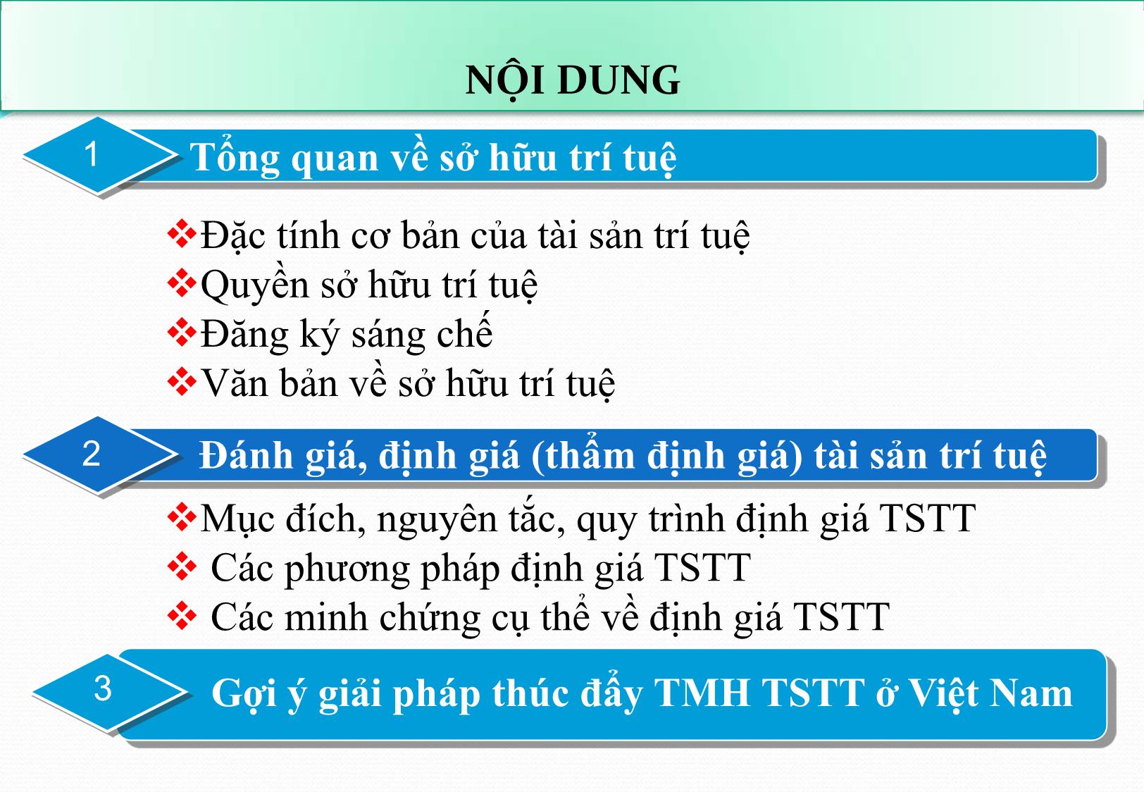 Bài giảng Thực tiễn định giá tài sản trí tuệ ở Việt Nam - Nguyễn Hữu Xuyên trang 2