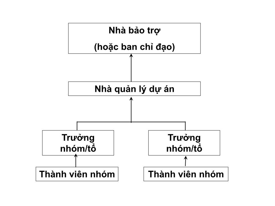 Bài giảng Tổ chức dự án - Chương 4: Các nhân vật chính của dự án trang 2