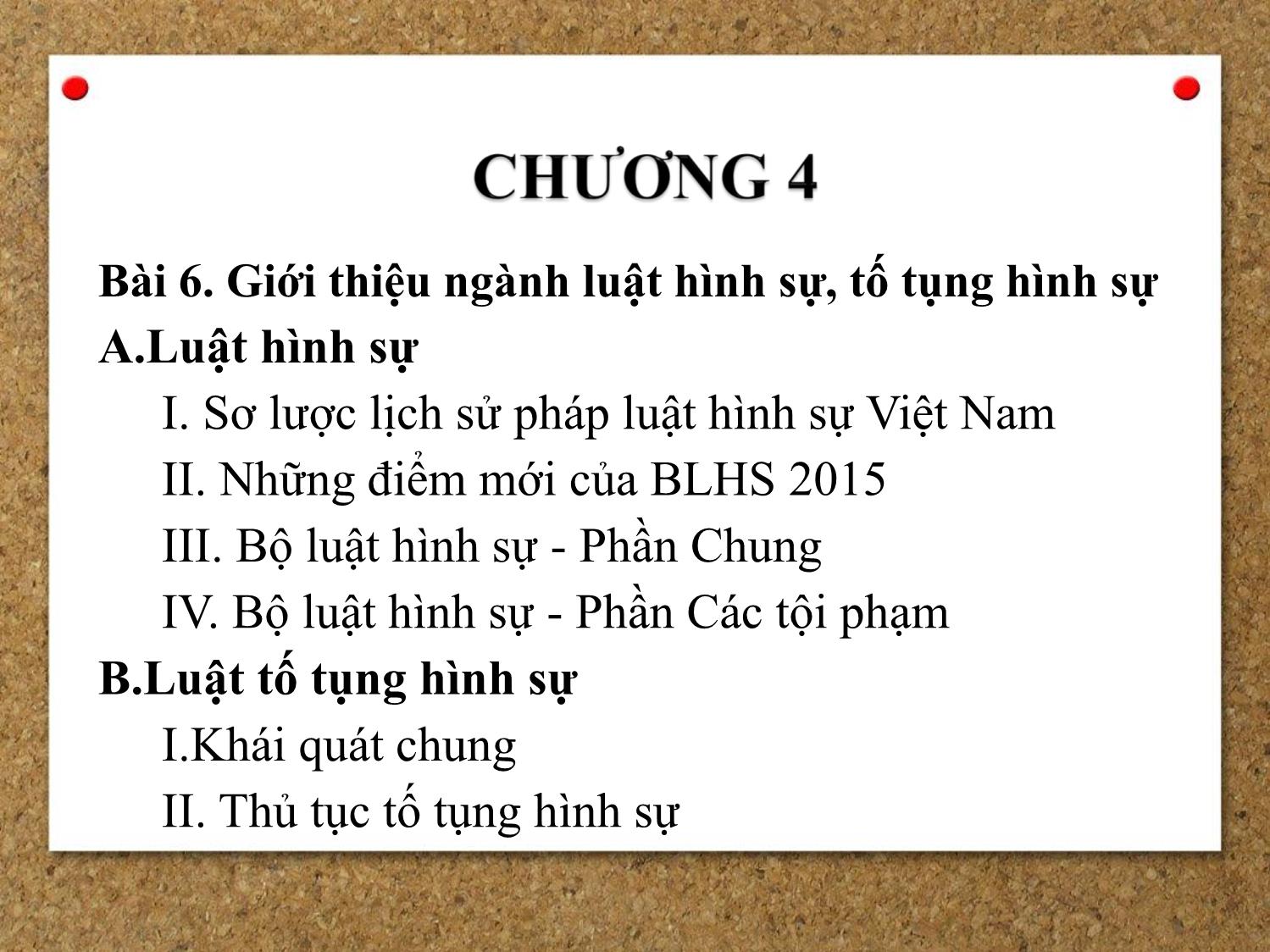 Bài giảng Pháp luật đại cương - Bài 6: Giới thiệu ngành luật hình sự, tố tụng hình sự (Phần 1) - Ngô Minh Tín trang 2