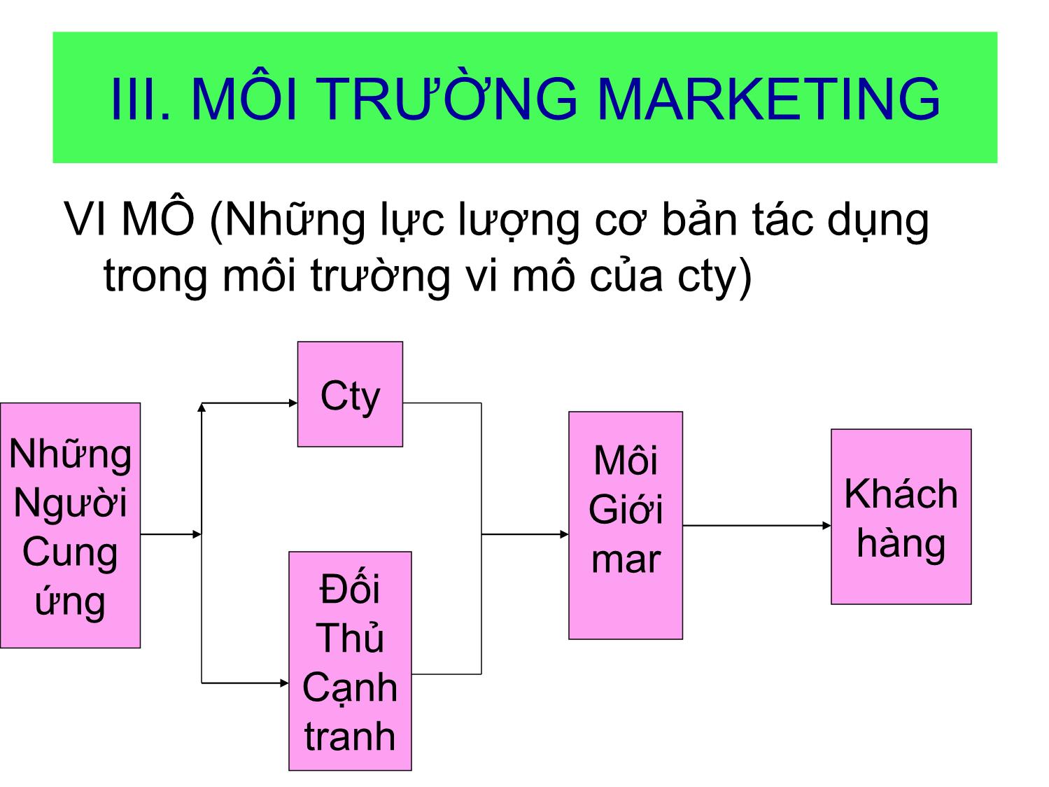 Bài giảng Marketing căn bản - Trần Thị Trương Nhung trang 5