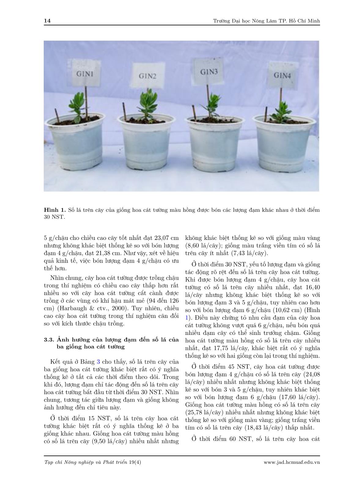 Effect of nitrogen levels on growth and development of three Lisianthus (Eustoma grandiflorum (Raf.) Shinn) cultivars pot-planted in Ho Chi Minh City trang 5