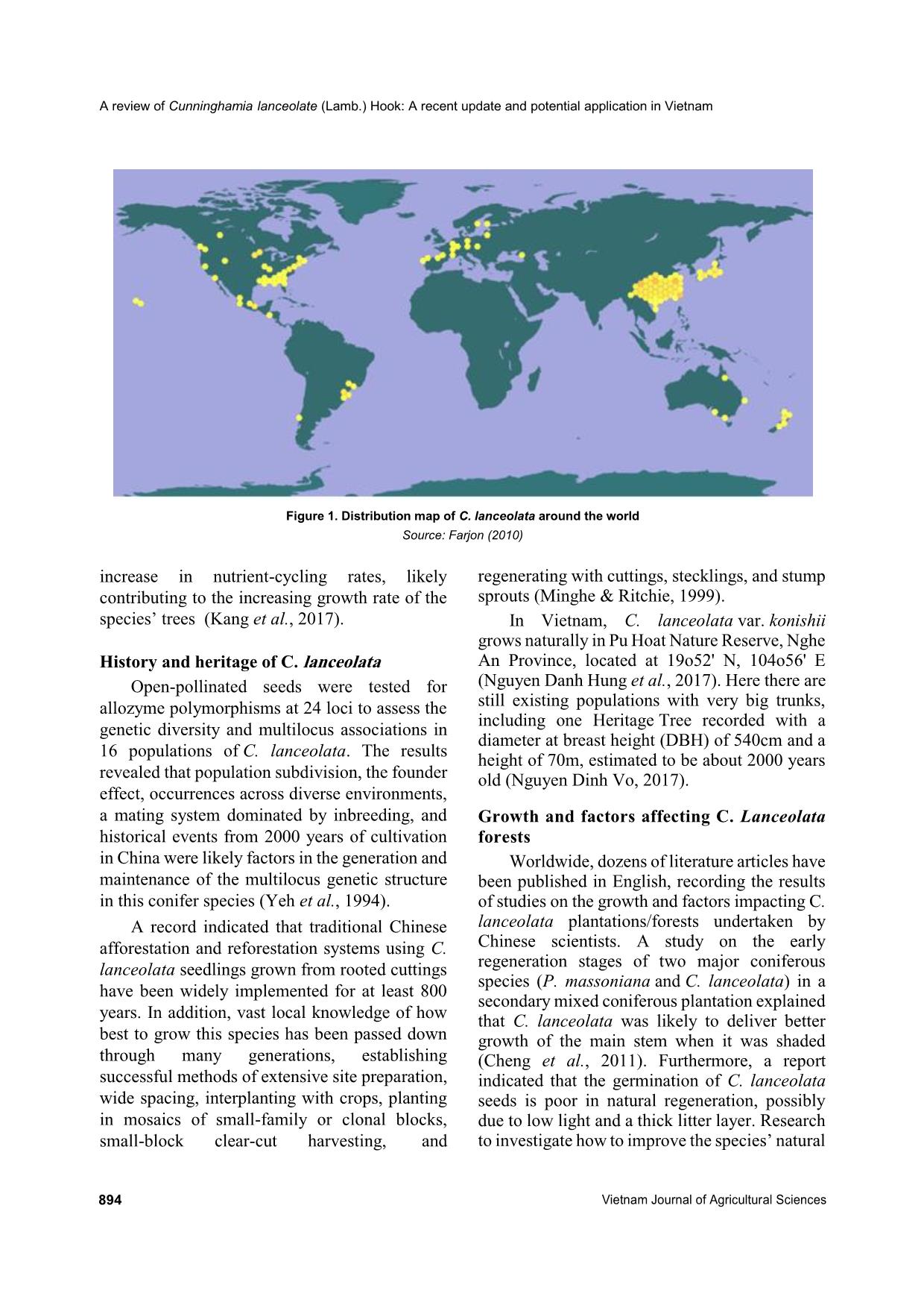 A review of cunninghamia lanceolata (Lamb.) Hook: A recent update and potential application in Vietnam trang 3