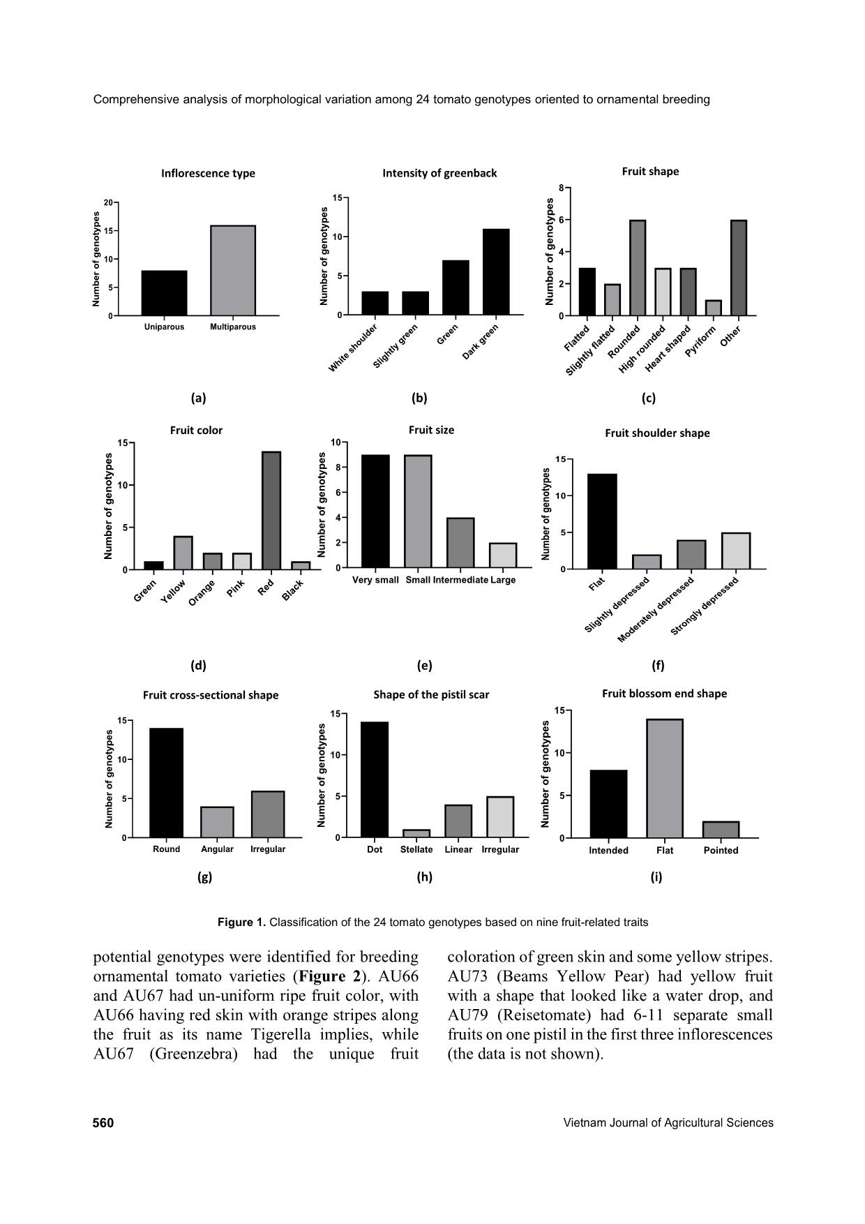 Comprehensive analysis of morphological variation among 24 tomato (Solanum lycopersicum) genotypes oriented to ornamental breeding in Vietnam trang 6