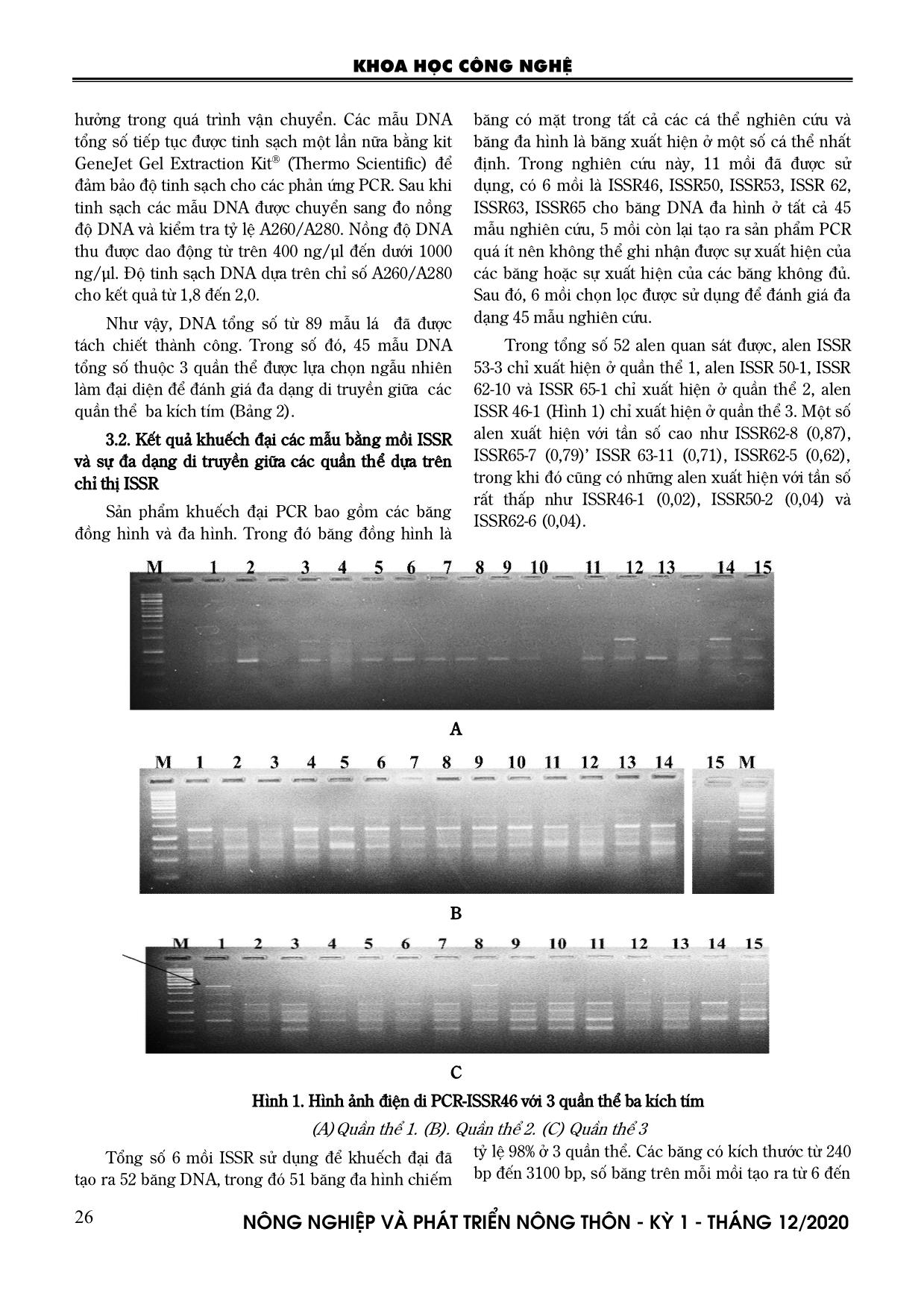 Đánh giá đa dạng di truyền trong các quần thể ba kích tím (Morinda officinalis F. C. How.,) tại Quảng Nam và Quảng Ninh bằng chỉ thị phân tử ISSR trang 4