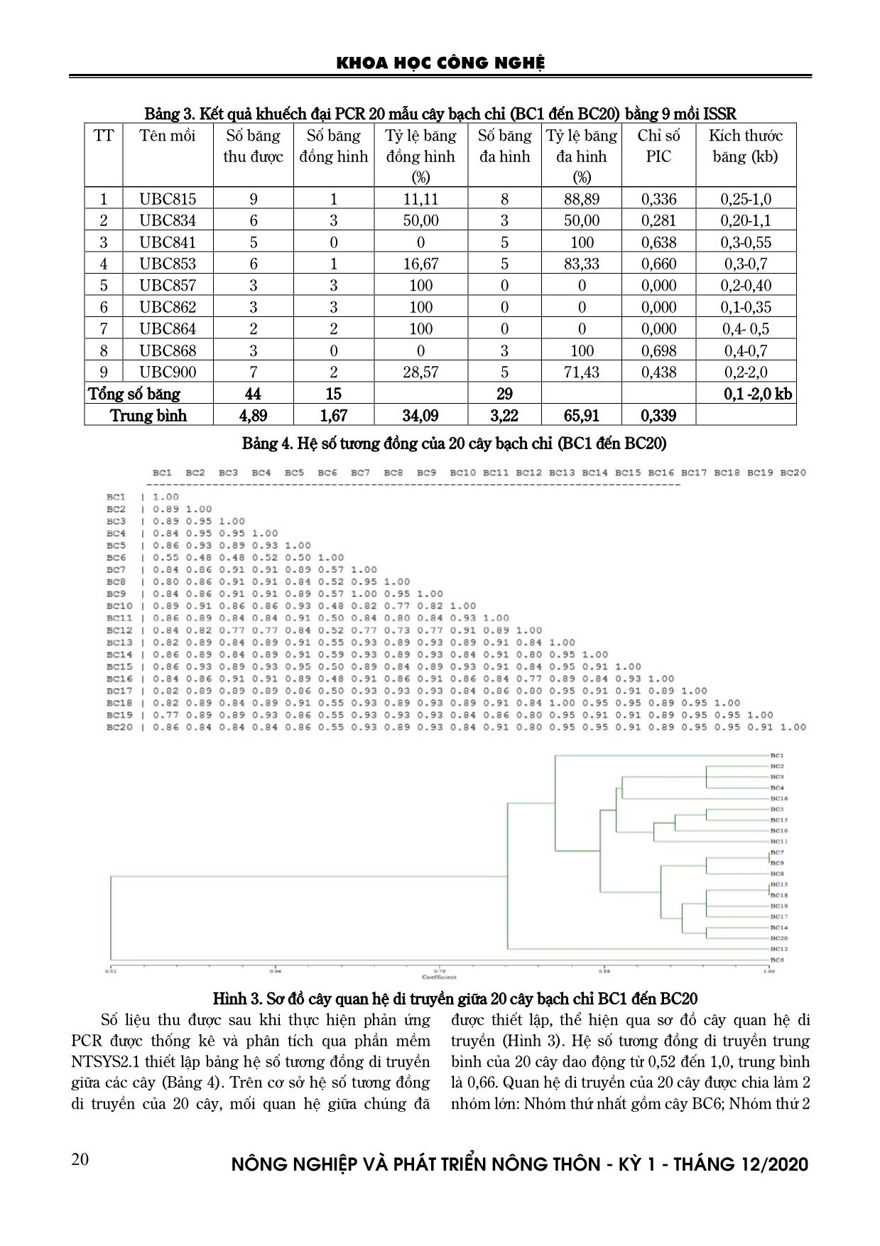 Đánh giá tính đồng nhất của mẫu giống bạch chỉ (Argelica dahurica) bằng chỉ thị phân tử ISSR trang 4
